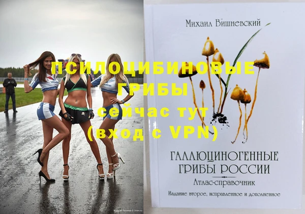 индика Нефтегорск