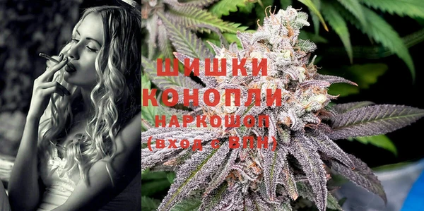 гашик Арсеньев