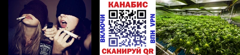 Бошки Шишки планчик  сколько стоит  Городище 